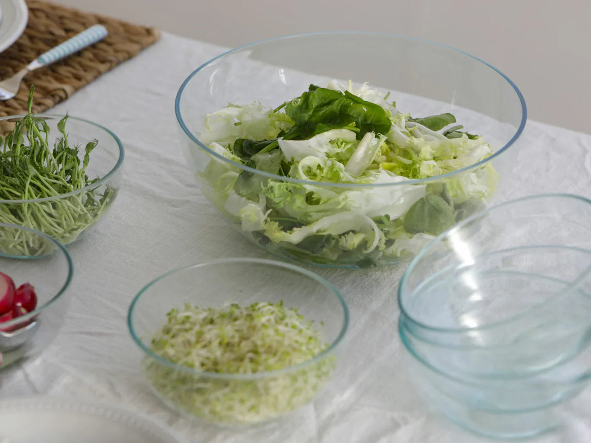 Salad Bowl Set F42400