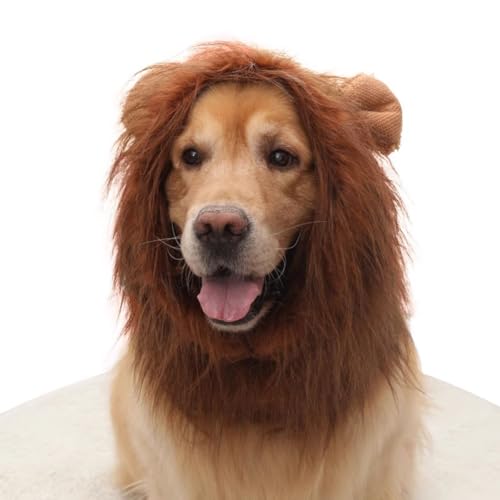 Brown Dog Wig with Ears G625914