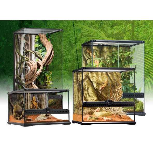 Glass Terrarium N342071