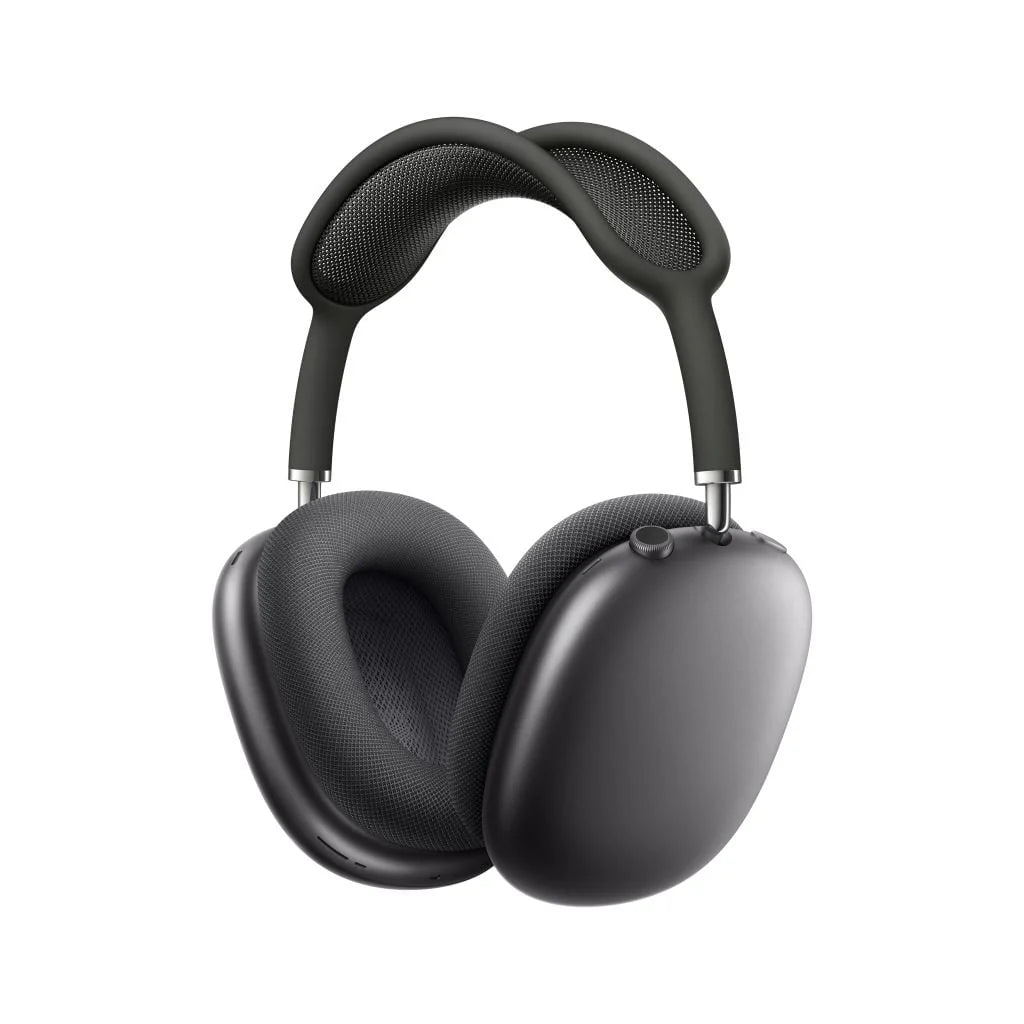 Space Gray Headphones F587361