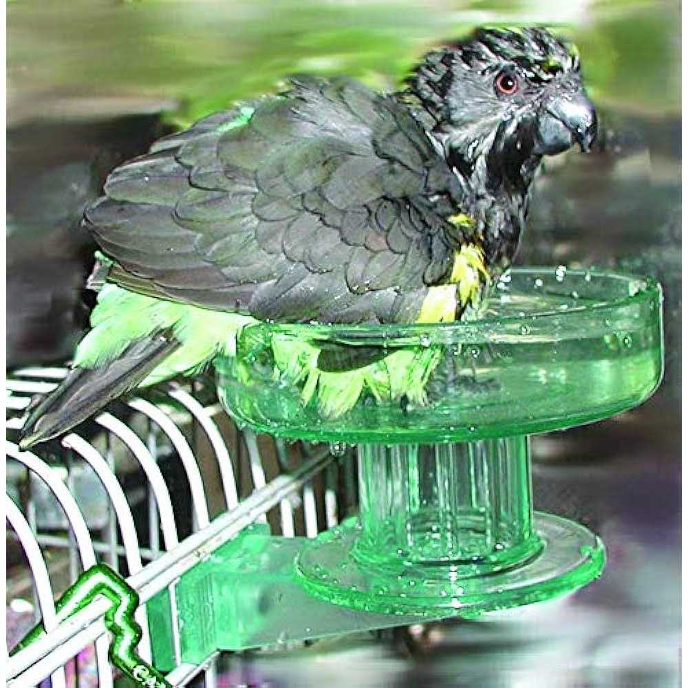 Bird Bath Q284823