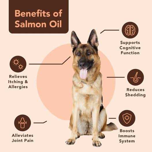 Salmon Oil for Dogs N50670