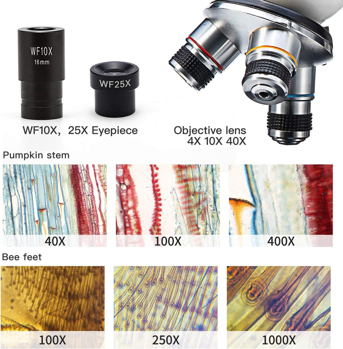 Compound Student Microscope 40X-1000X Monocular E107