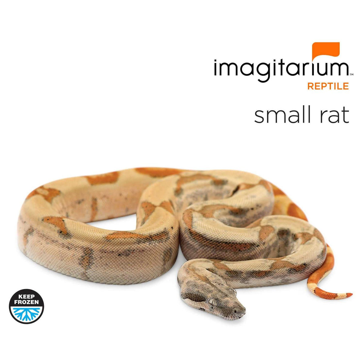Small Pet Rat V780