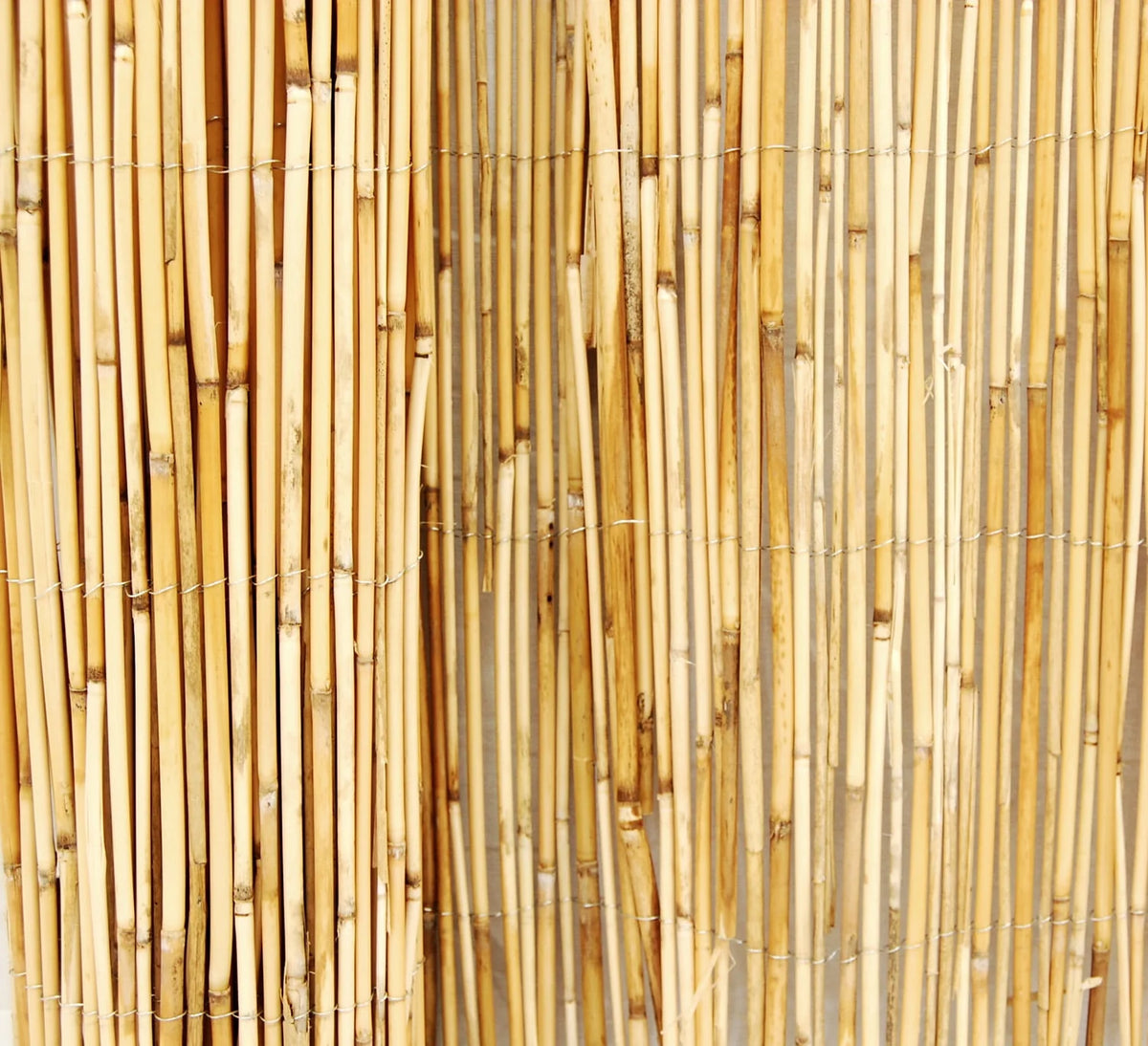 Natural Reed Fence Panel 4-Pack S91600