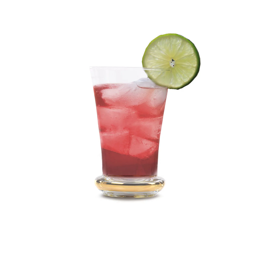 Highball Drinking Glasses Set of 6 T440487