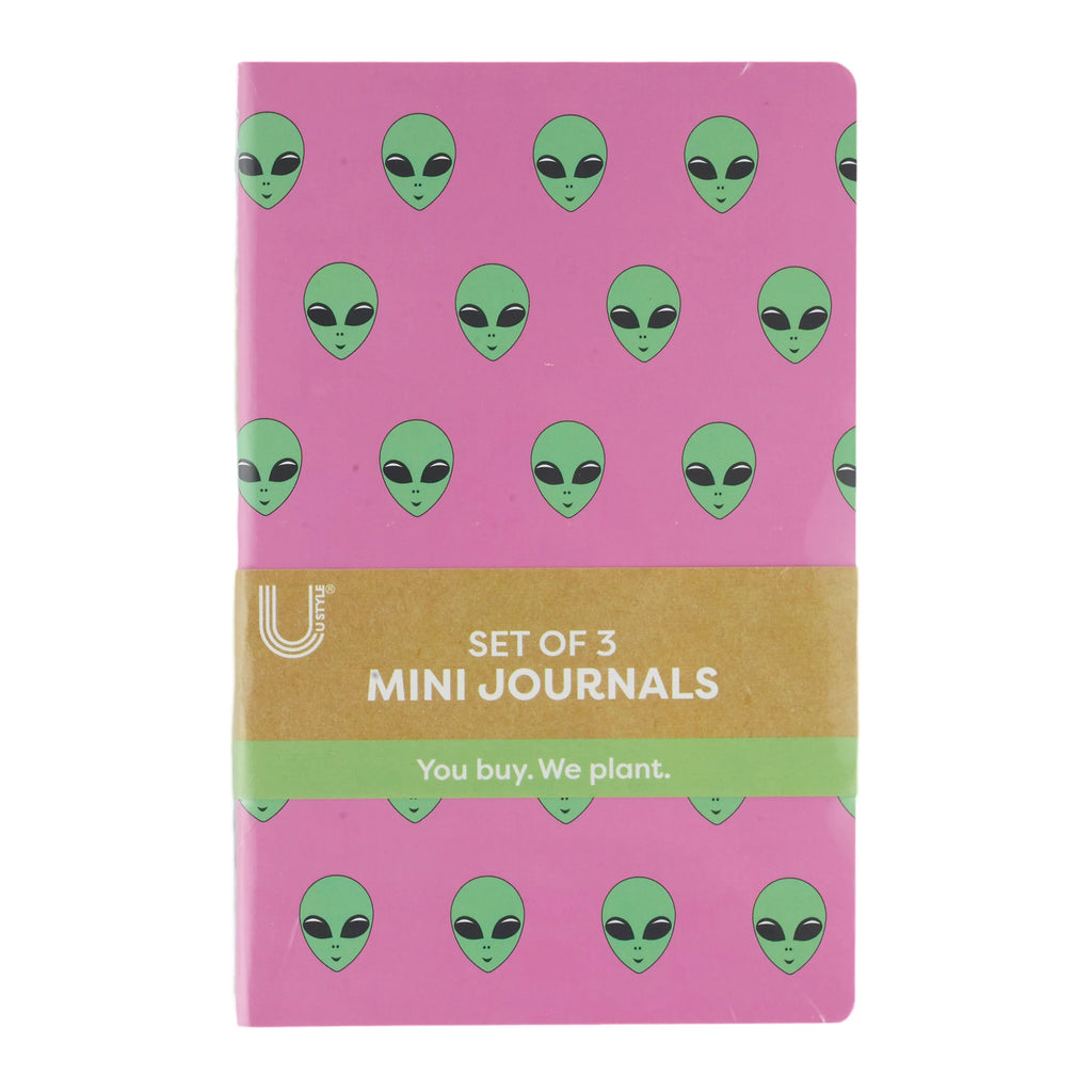 Set of 3 Mini Paper Journals W162