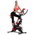 Indoor Exercise Bike V9711