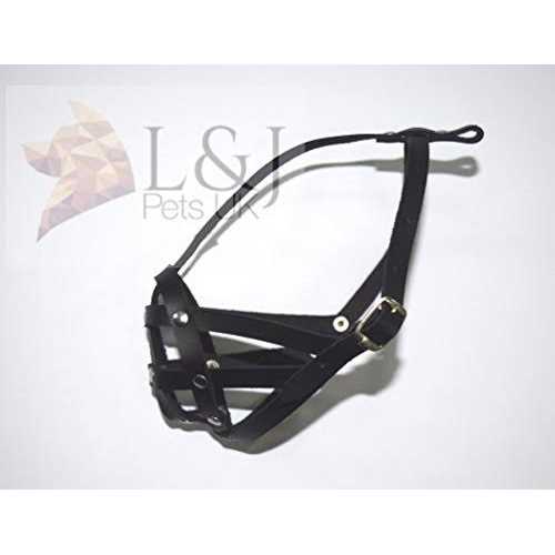 Leather Dog Muzzle R237218