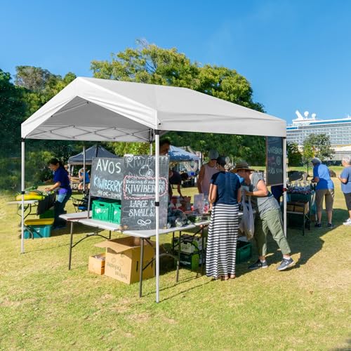 10x20ft Pop Up Canopy Tent with Carry Bag P278