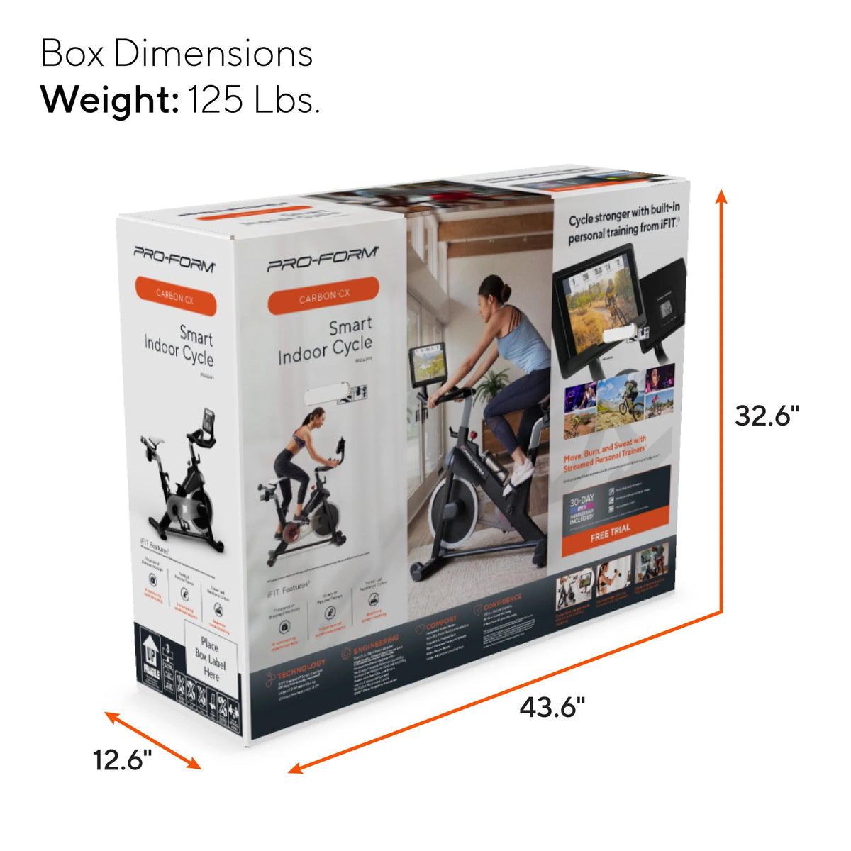 Exercise Bike with Dumbbell Set F2010