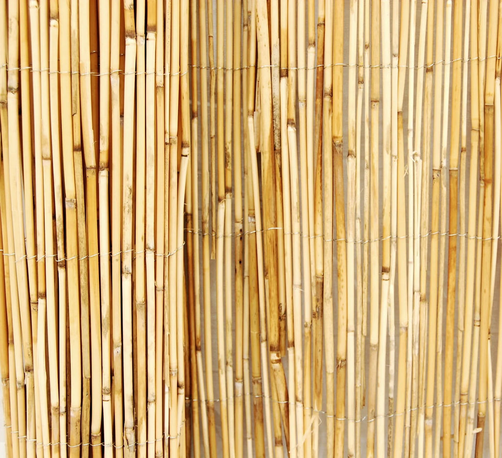 Natural Reed Fence Panel 4-Pack S91600