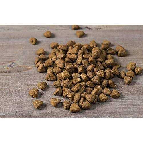 Small Breed Dry Dog Food Turkey C771548
