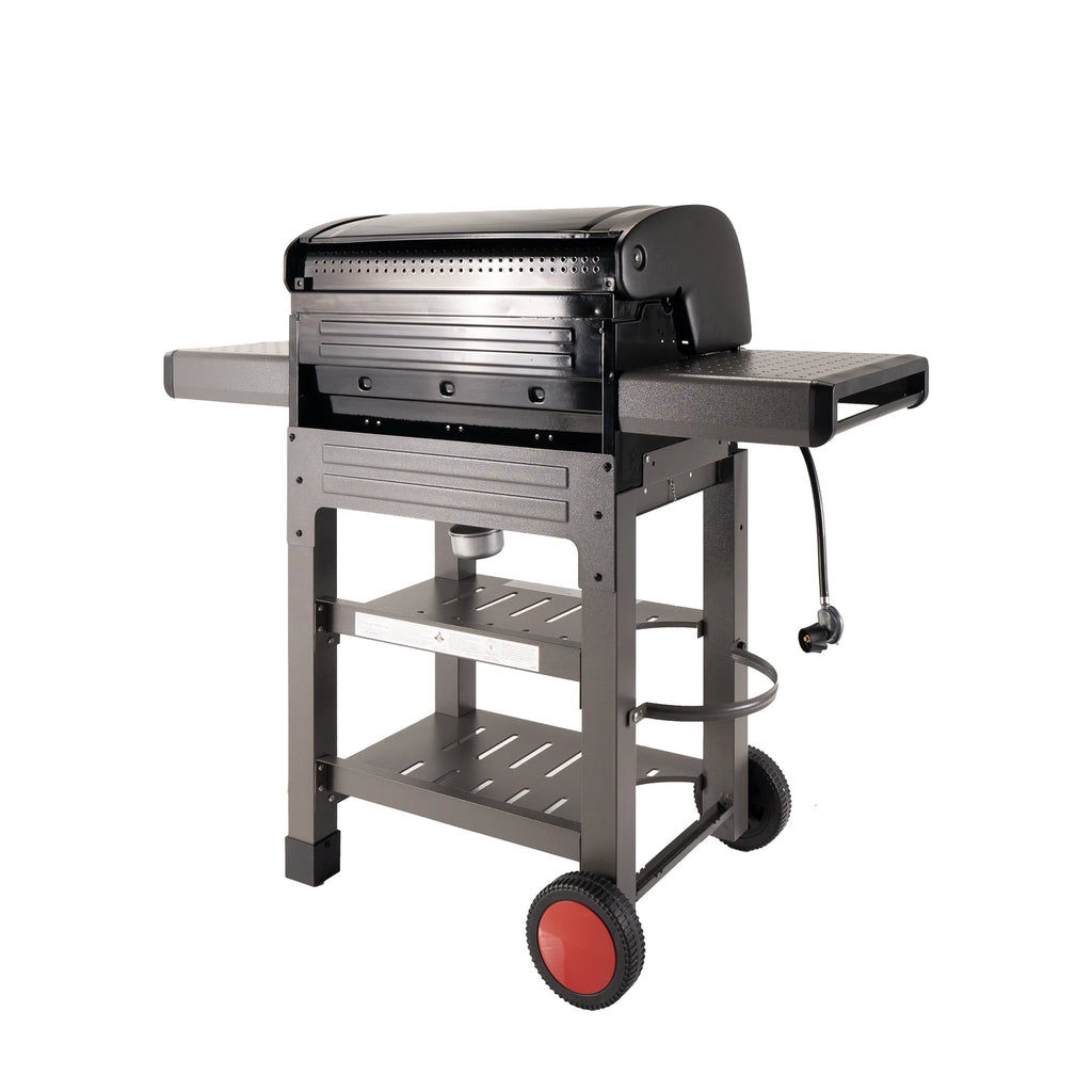 3-Burner Propane Gas BBQ Grill with Side & Storage Shelves 36,000 BTU, Black C1053
