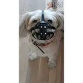Leather Dog Muzzle R237218