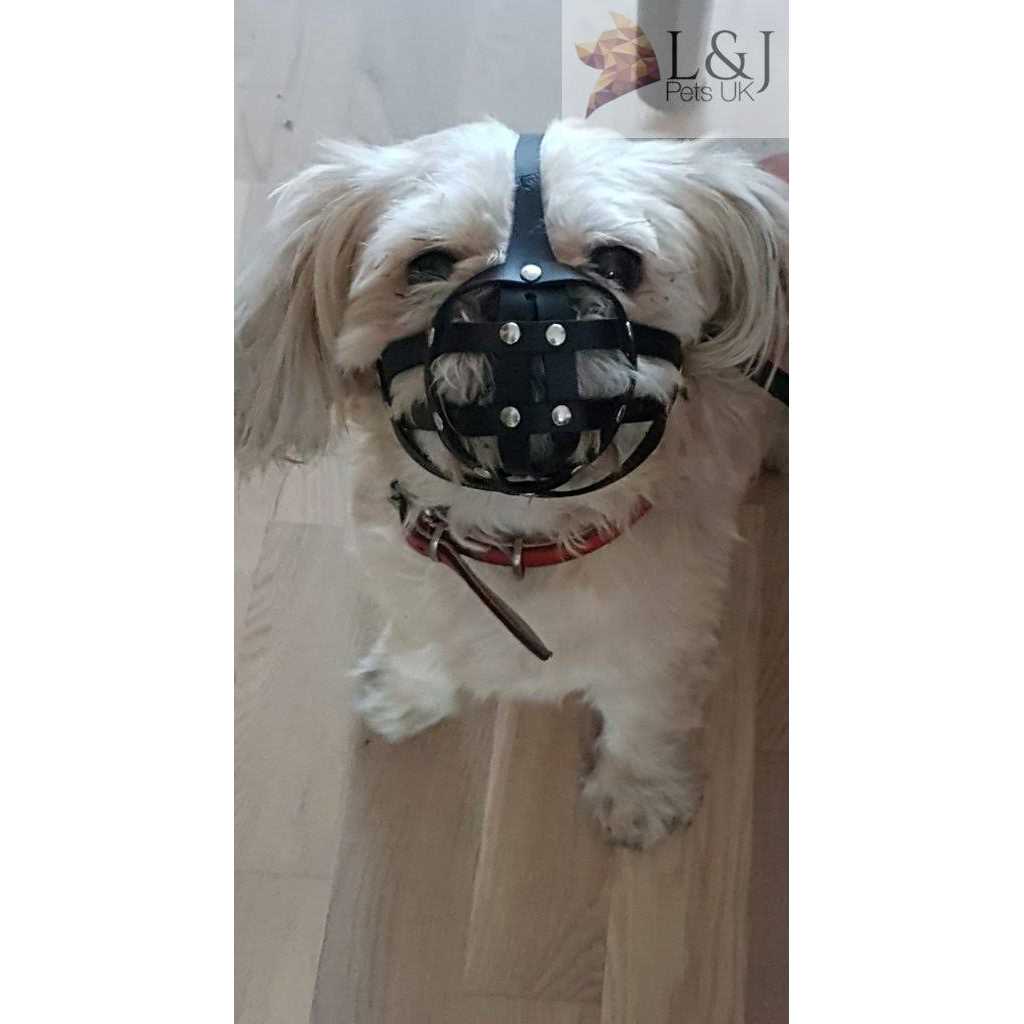 Leather Dog Muzzle R237218
