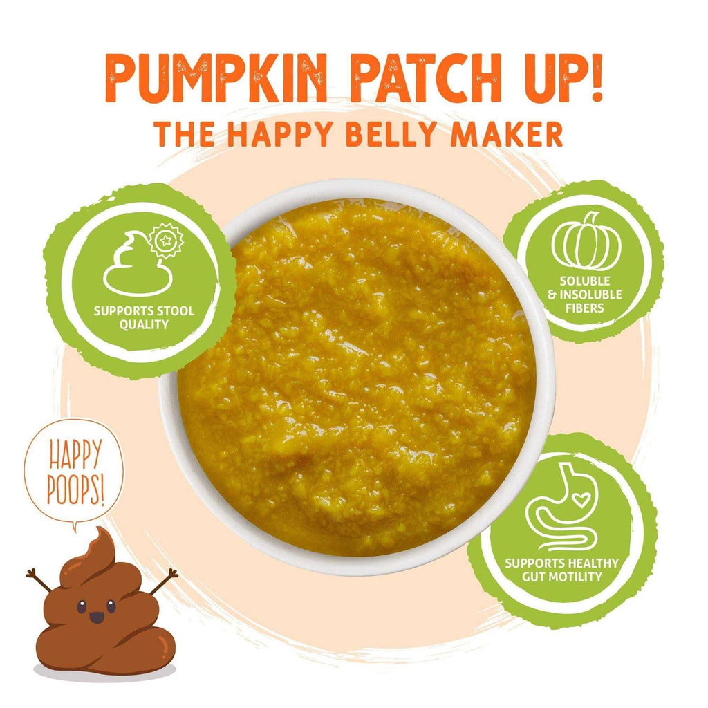 Pumpkin Patch Up Pet Supplies N17612