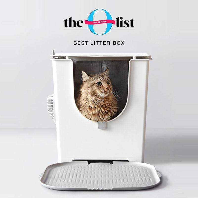 Flip Litter Box with Scoop and Reusable Liner A307240
