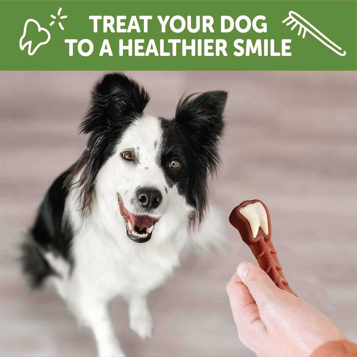 Dental Treats Q231668