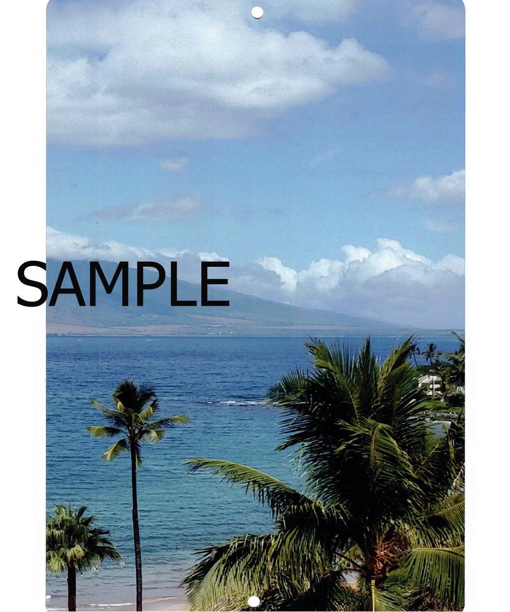 Metal Print 12x16 R761870