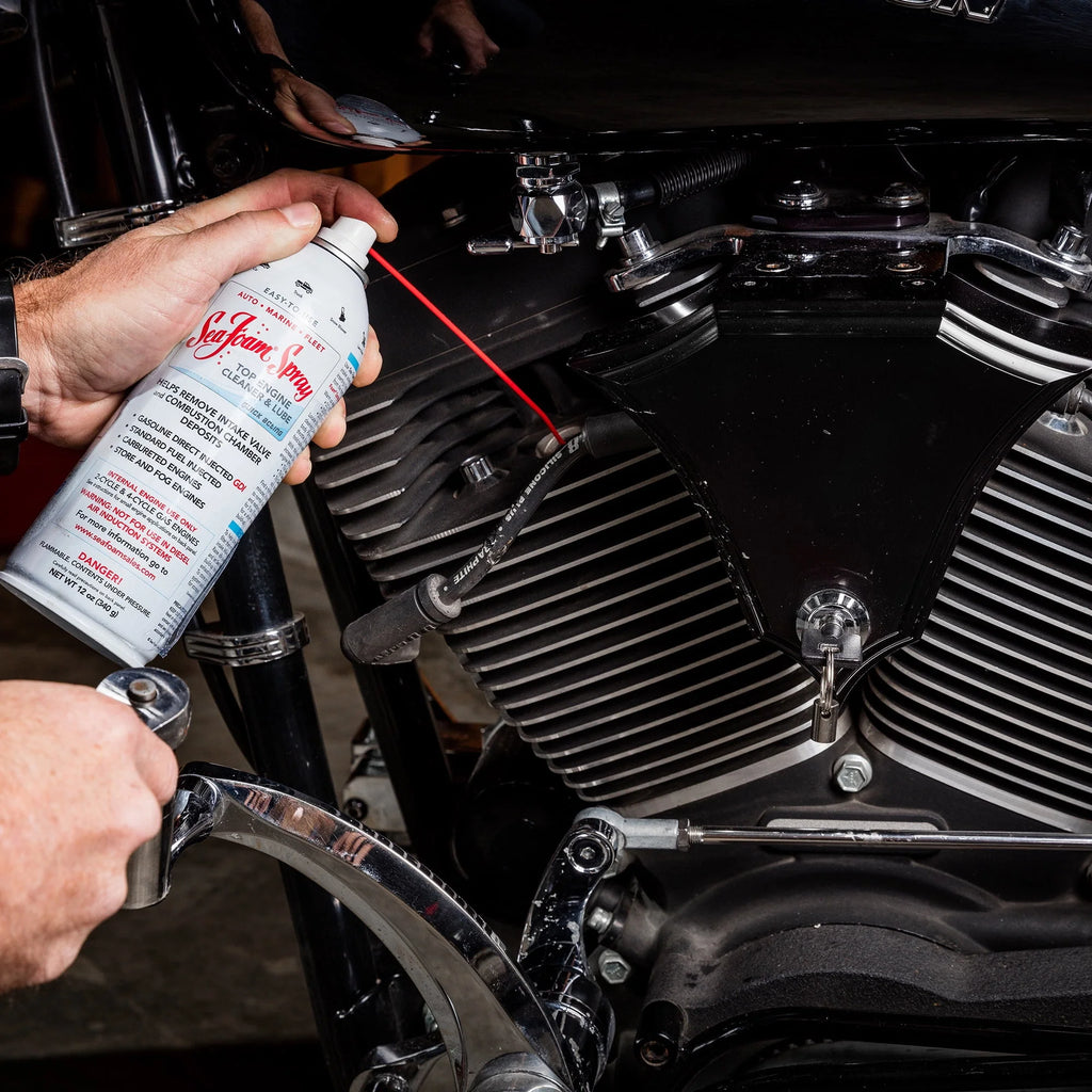 Sea Foam Motor Treatment and Spray Combo 24 oz S924572