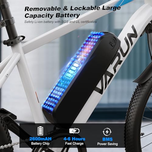 Electric Bike 350W 36V Removable Battery 24'' Mountain Bike H116911