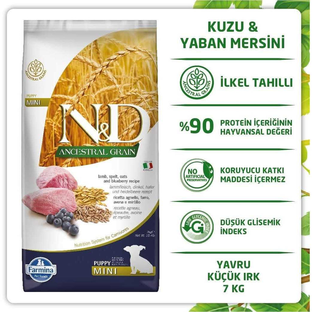 Lamb & Blueberry Dog Dry Food X89108