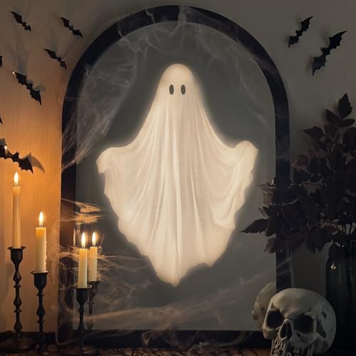 Halloween Decorations Indoor 31.5" x 21.6" Ghost Hologram Mirror with Remote X493