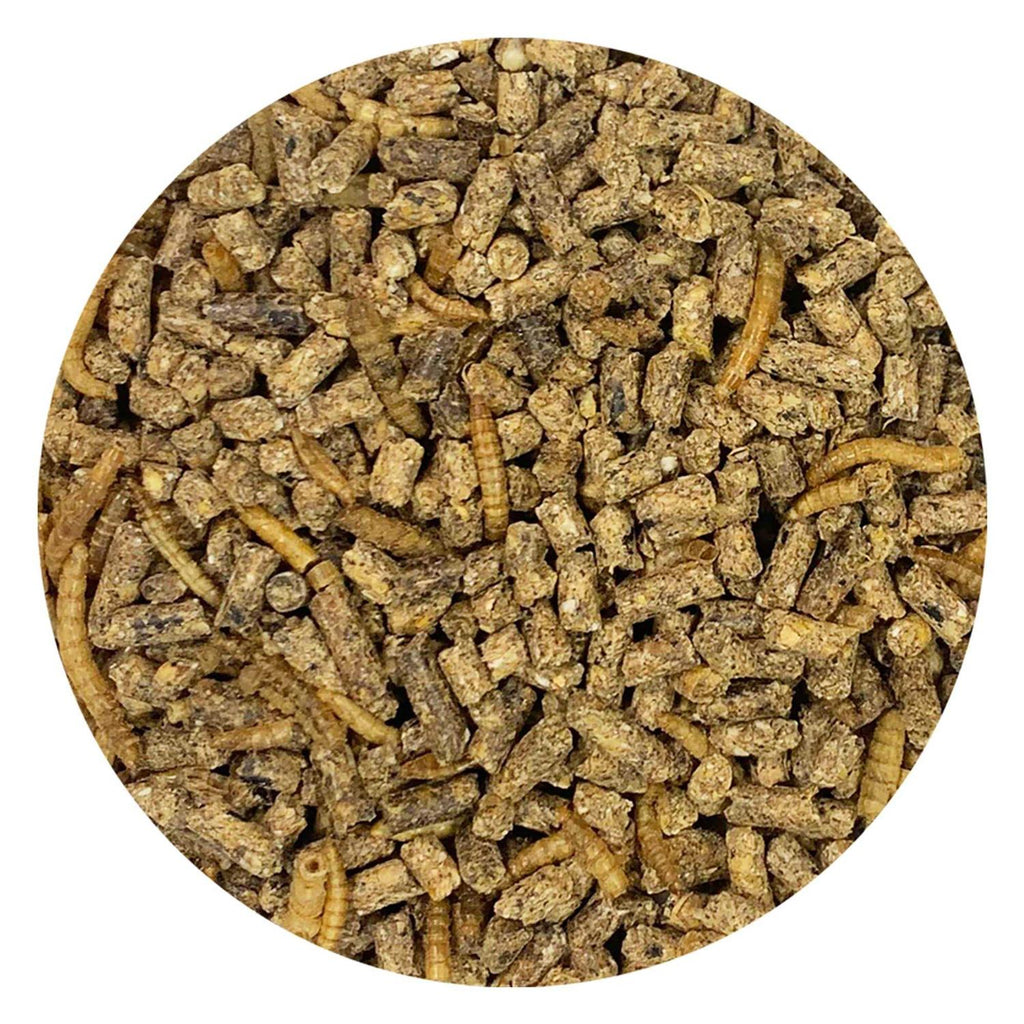 Complete Hedgehog Food A70119