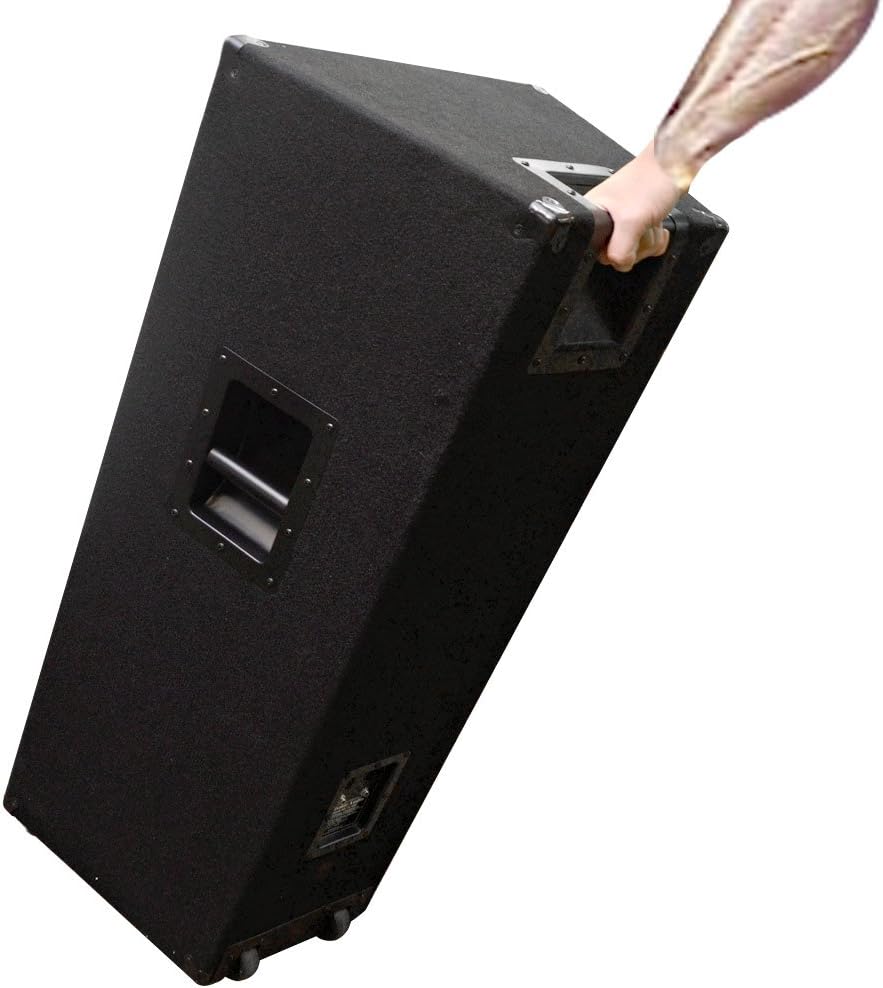 15-Inch PA DJ Speaker Cabinet with Titanium Horn V777882