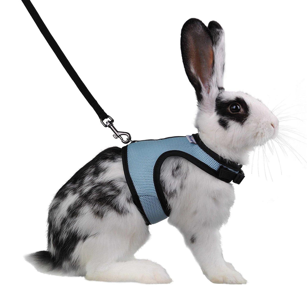 Adjustable Soft Harness with Elastic Leash for Rabbits M594704