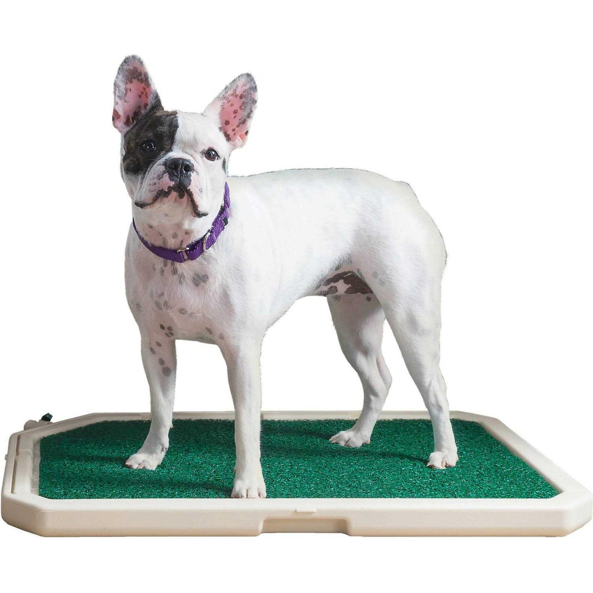 No-Pull Front Attachment Dog Harness W6134
