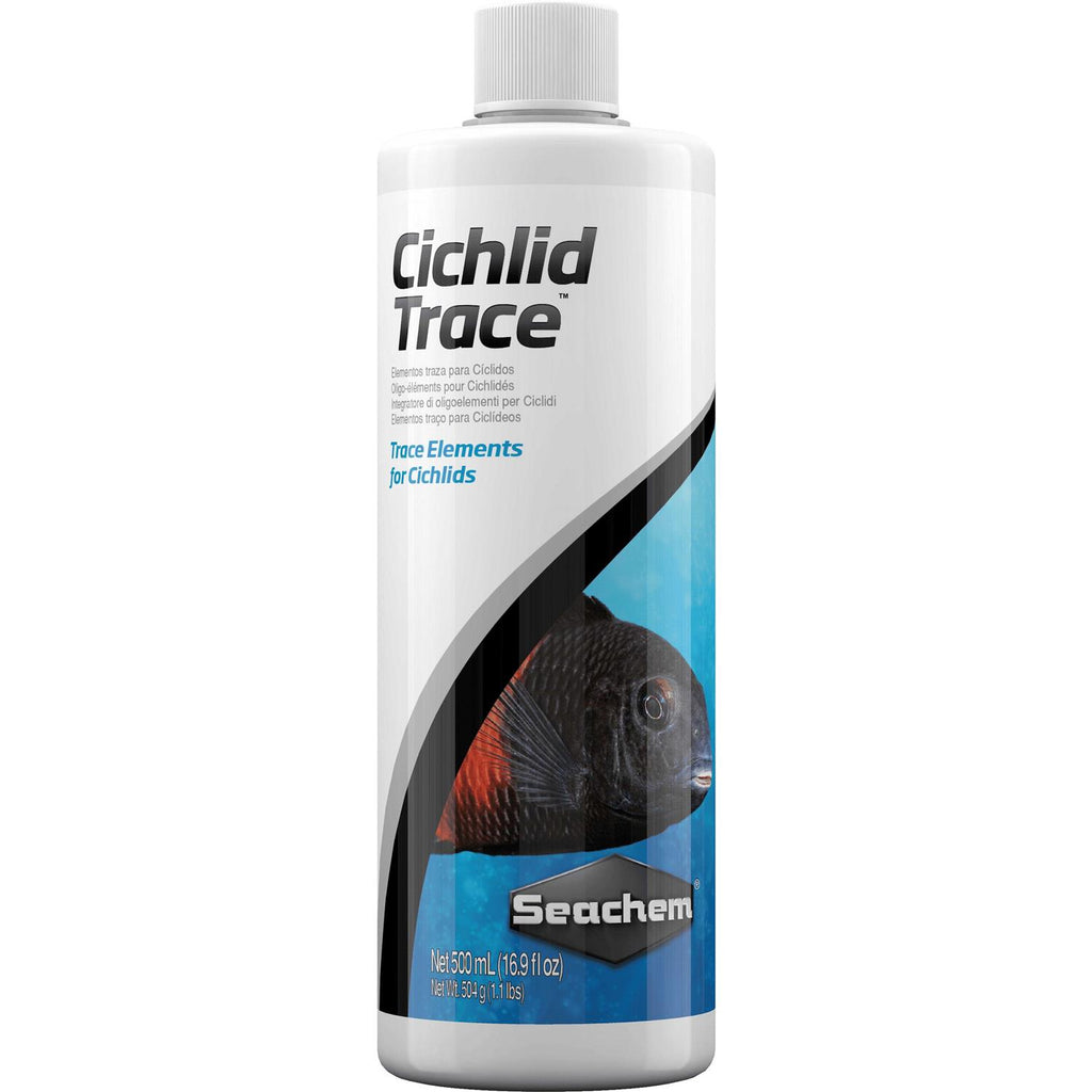 Cichlid Trace N76079