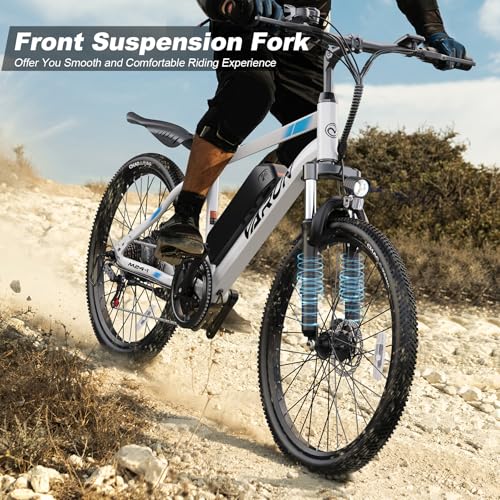 Electric Bike 350W 36V Removable Battery 24'' Mountain Bike H116911