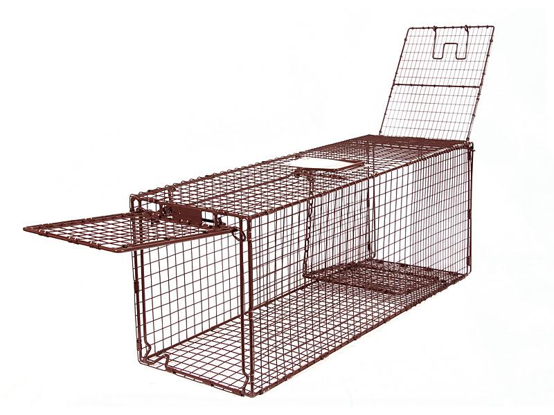 Humane Live Animal Trap F906