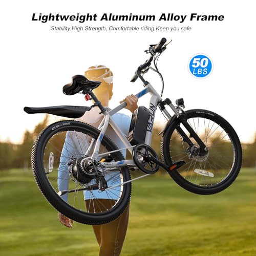 Electric Bike 350W 36V Removable Battery 24'' Mountain Bike H116911