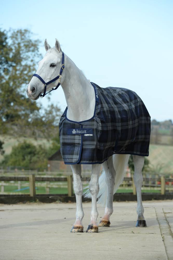 Stable Medium Tartan L8265