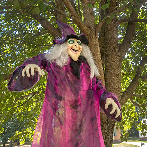 Hanging Witch Halloween Decor A2759