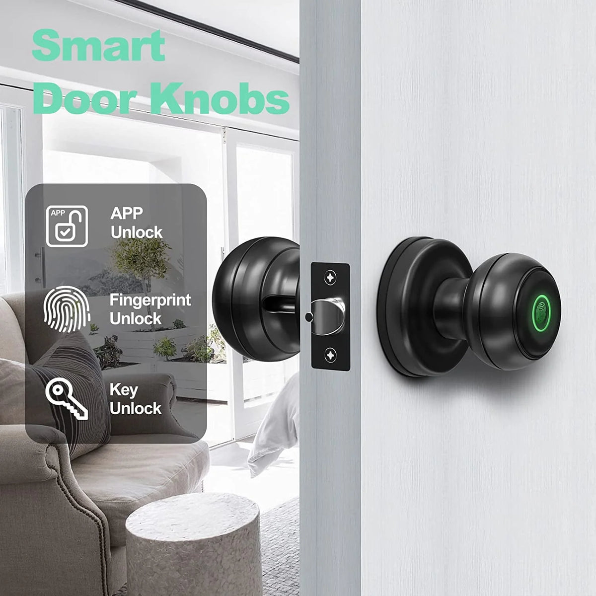 Smart Fingerprint Door Lock with App Control V823656
