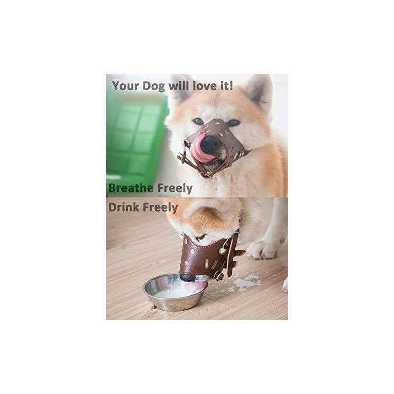 Leather Dog Muzzle T65328