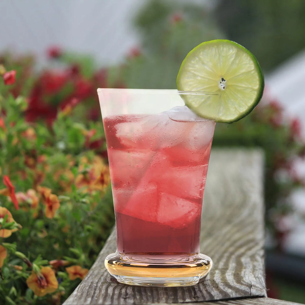 Highball Drinking Glasses Set of 6 T440487