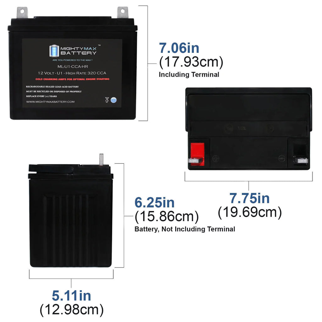 12V 320CCA Battery B3912