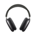 Space Gray Headphones F587361