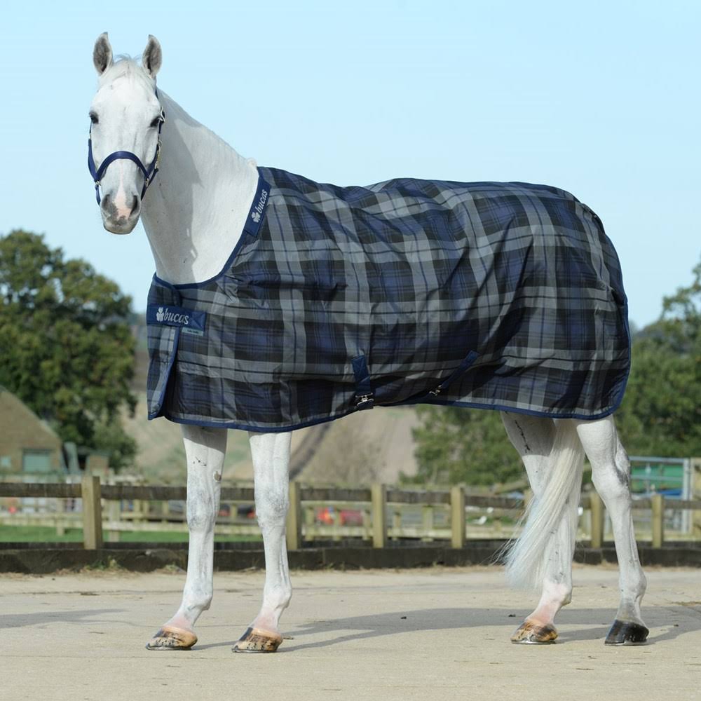 Stable Medium Tartan L8265