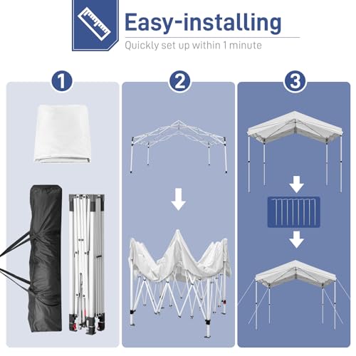10x20ft Pop Up Canopy Tent with Carry Bag P278