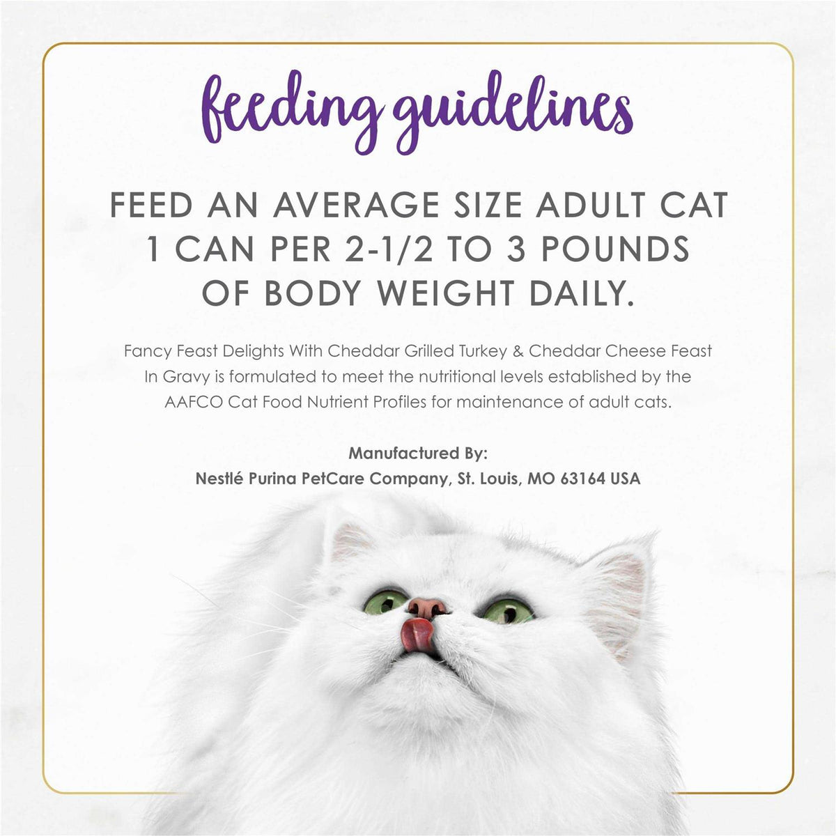 Wet Cat Food P374