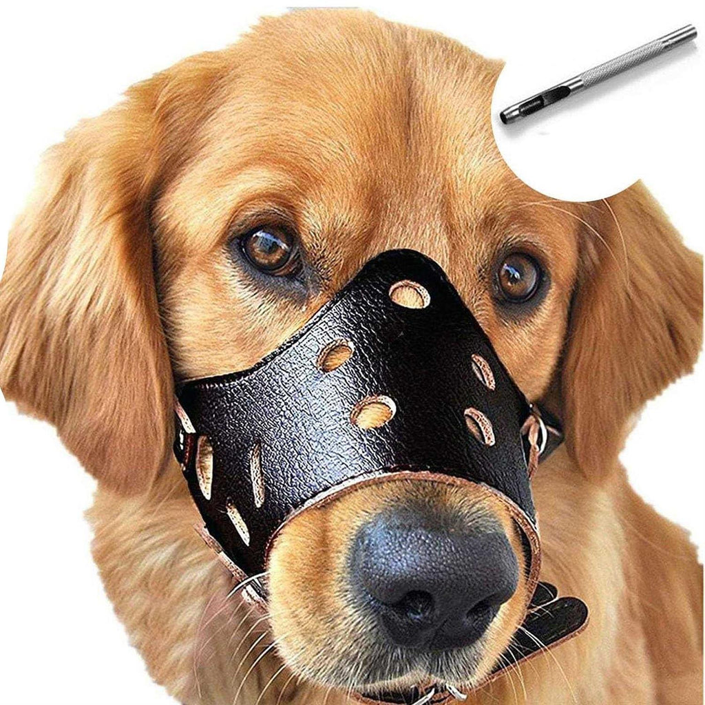 Leather Dog Muzzle T65328