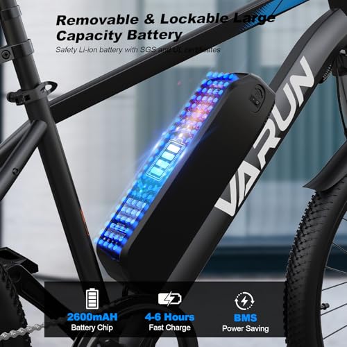 Electric Bike 350W 36V Removable Battery 24'' Mountain Bike H116911