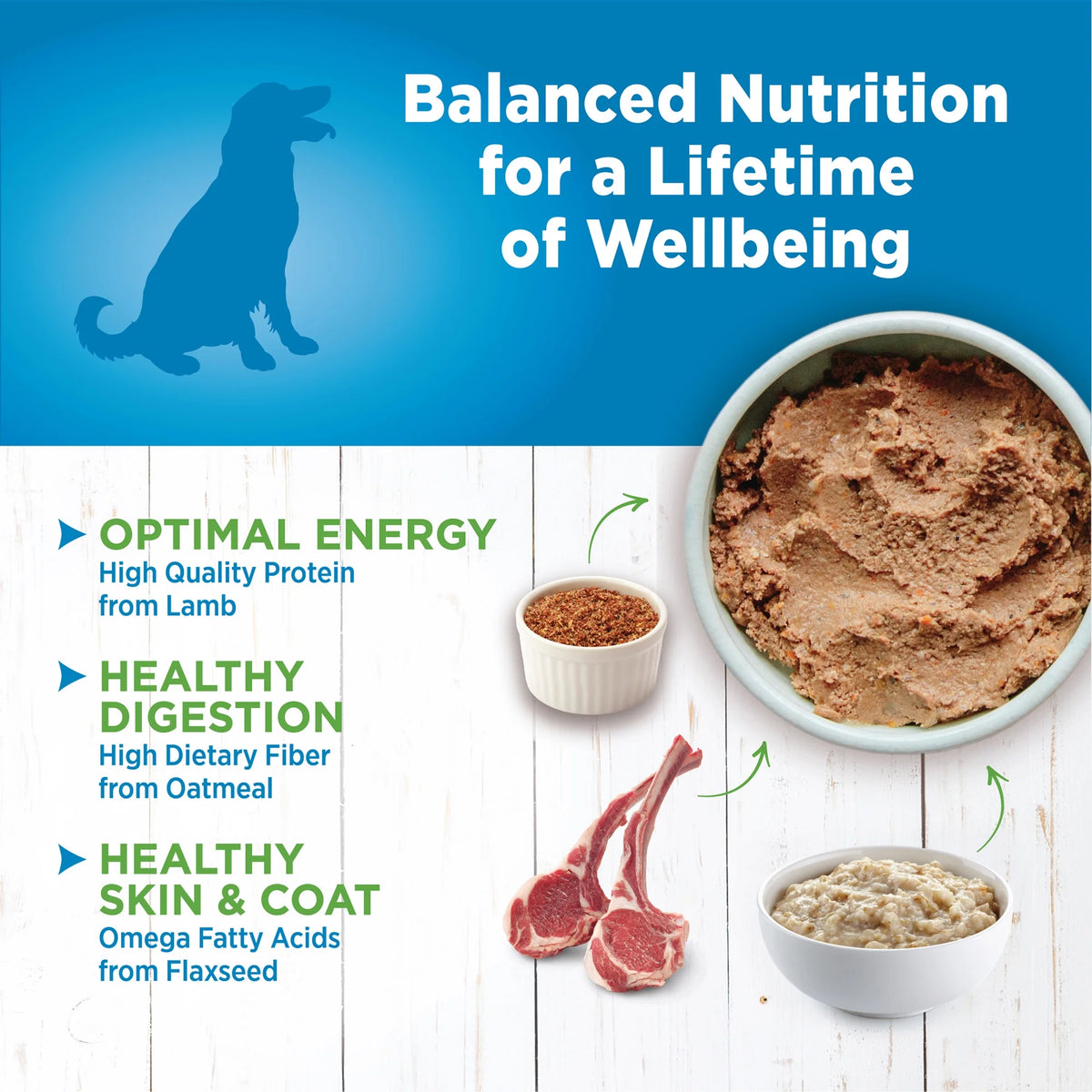 Natural Limited Ingredient Lamb & Oatmeal Wet Dog Food 12.5-Ounce Can Pack of 12 V667