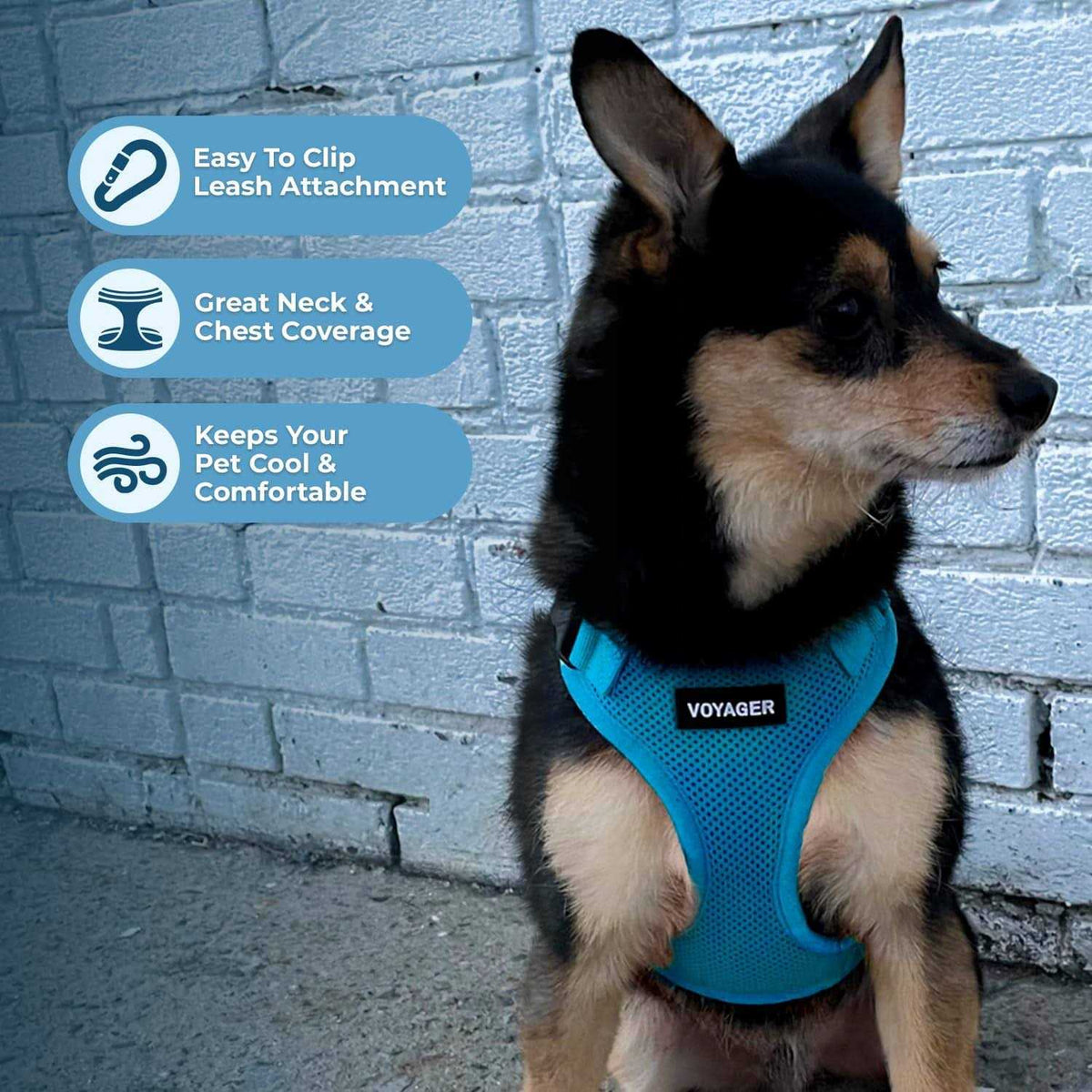 Adjustable All Weather Mesh Step-in Pet Harness U406600